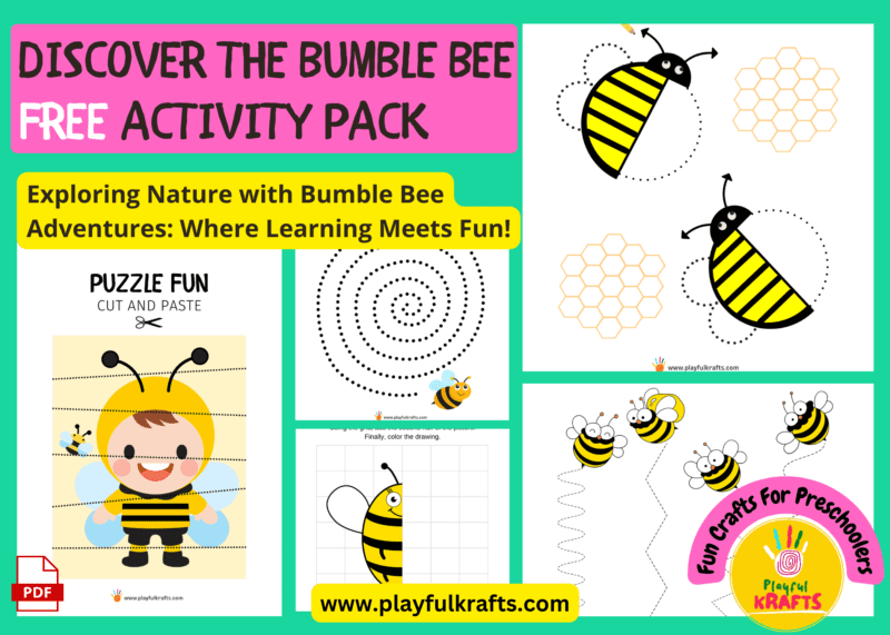 Bumble-bee-blog-post-image-find-free-activity-pack
