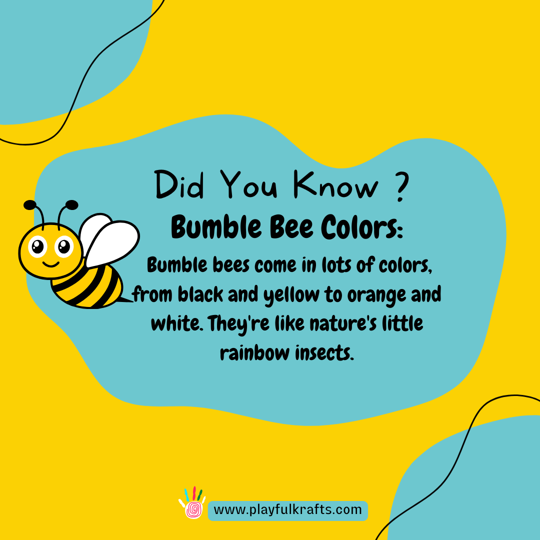 Bumble-bees-come-in-lots-of-colors-from-black-and-yellow-to-orange-and-white