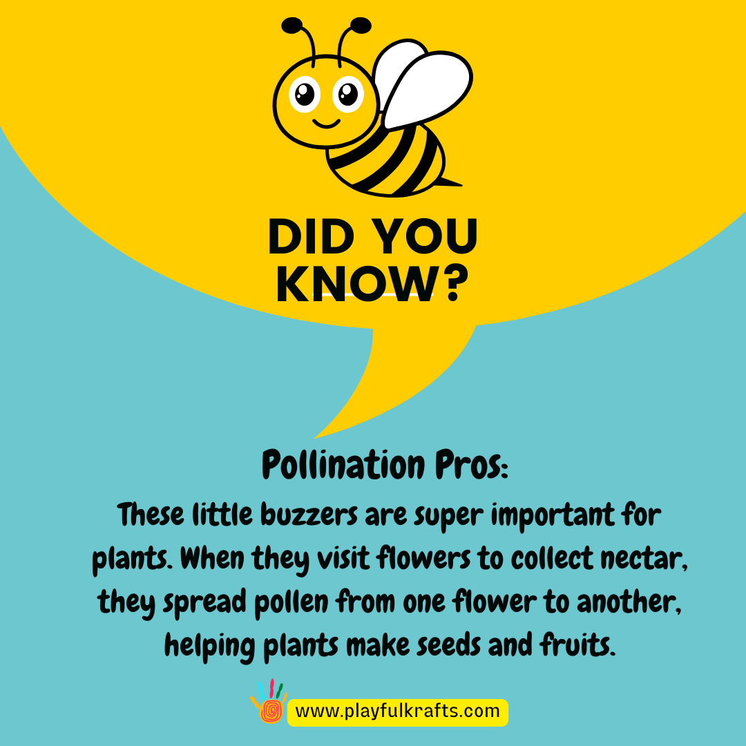 Bumble-bee-fact-pollination-pros
