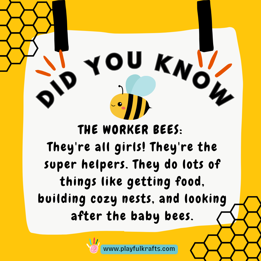 worker-bees-are-all-girls-they-are-the-super-helpers-they- get-food-build-cozy-nests-and-look-after-baby-bees