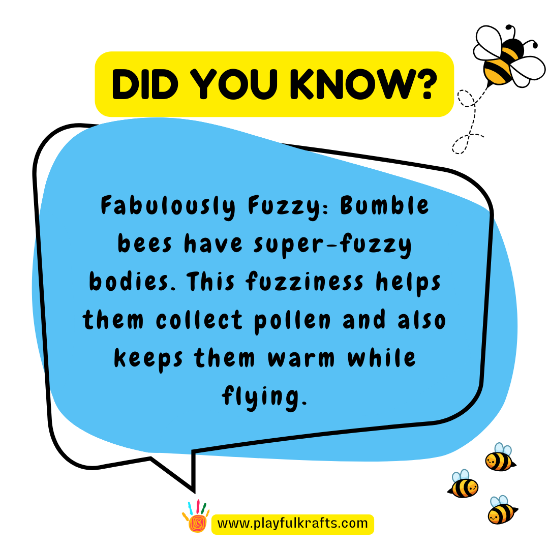 Bumble-bees-have super-fuzzy-bodies-this-fuzziness-helps-them-collect-pollen-and-also-keeps-them-warm-while-flying